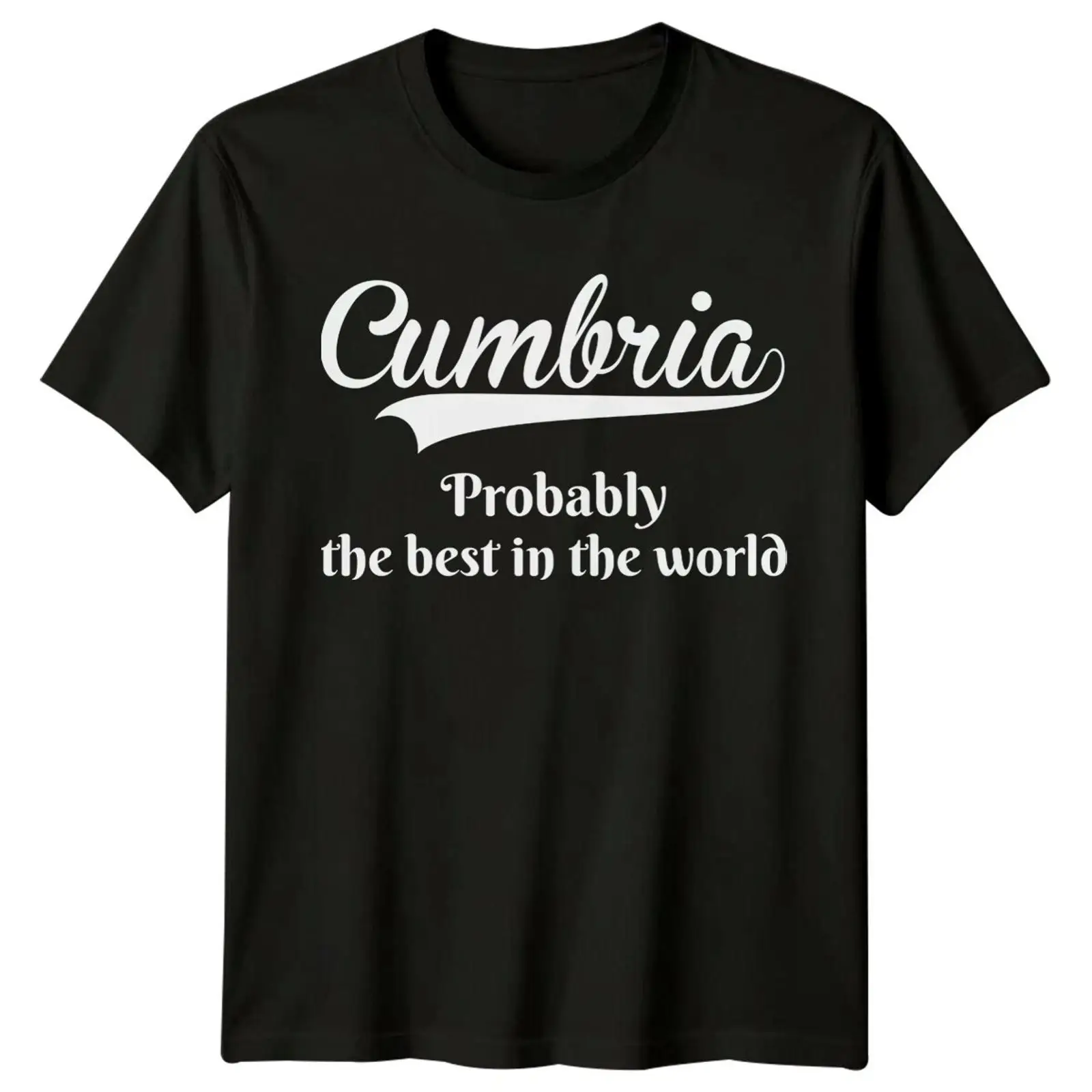 Vintage Fashion Herren - カンブリアは世界最高の旅行地ともいえる ヘレン Tシャツ ダメン ヴィンテージ ウォッシュド