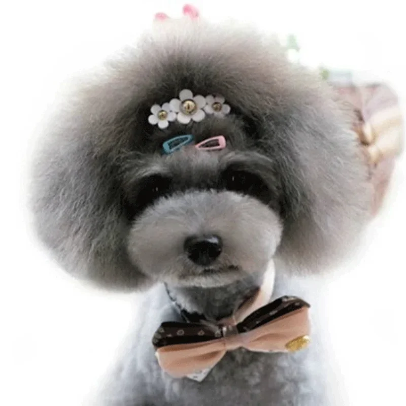 韓国ミニカラフルな子供用ヘアピン、ヘアグリップ、ヘアクリップ - Vintage Fashion Dolls のレビューと価格